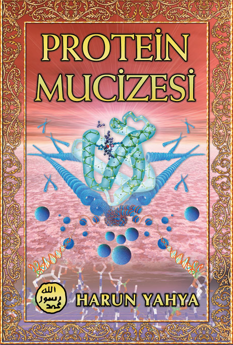 Protein Mucizesi